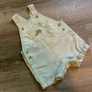 Lightweight Turtle Overalls